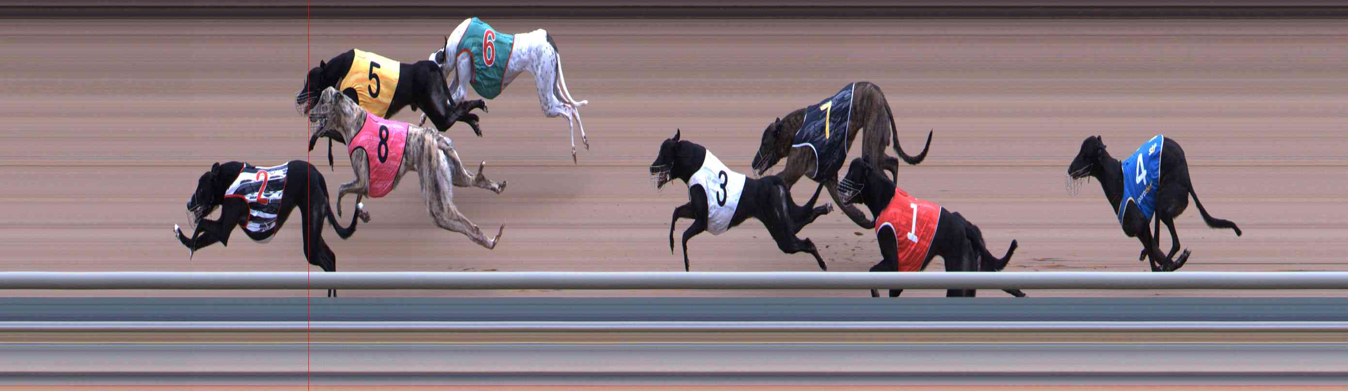Photo finish for Healesville Race 6