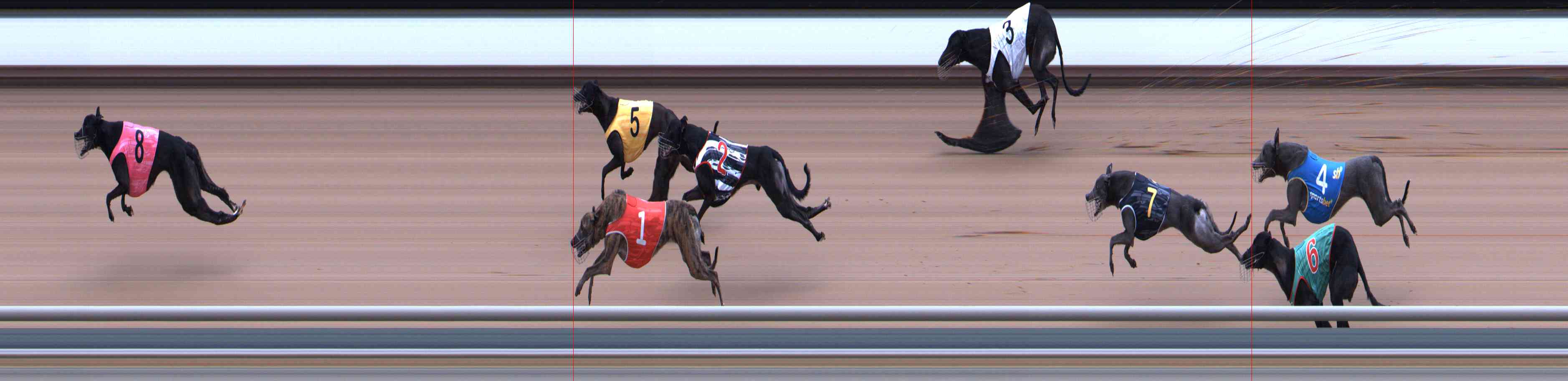 Photo finish for Healesville Race 7