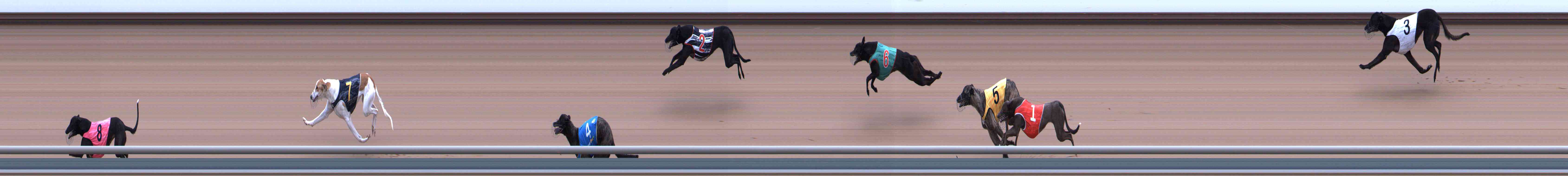 Photo finish for Healesville Race 9