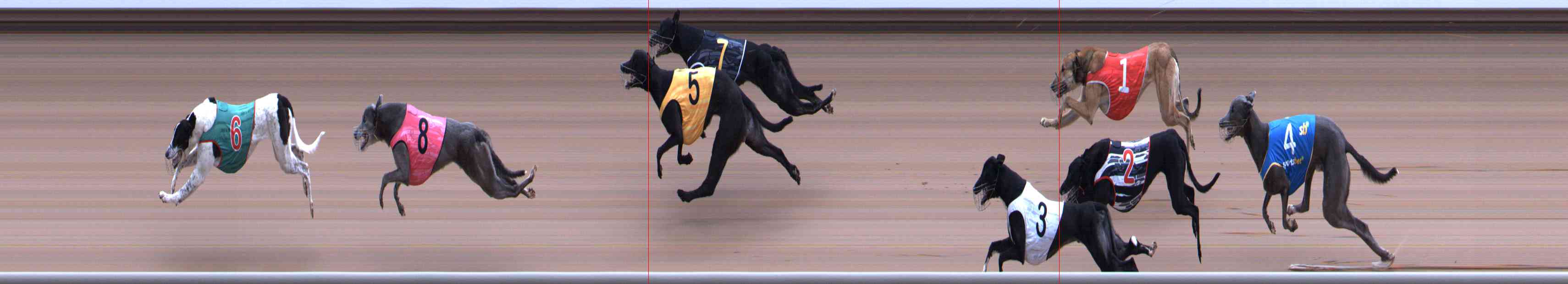 Photo finish for Healesville Race 10