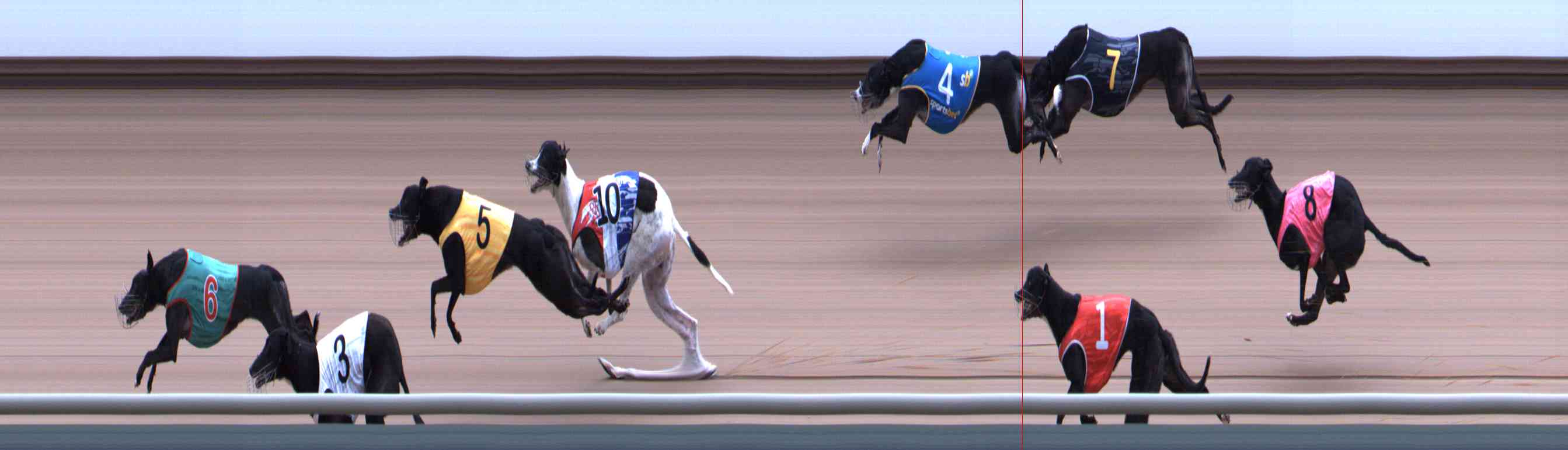 Photo finish for Healesville Race 11