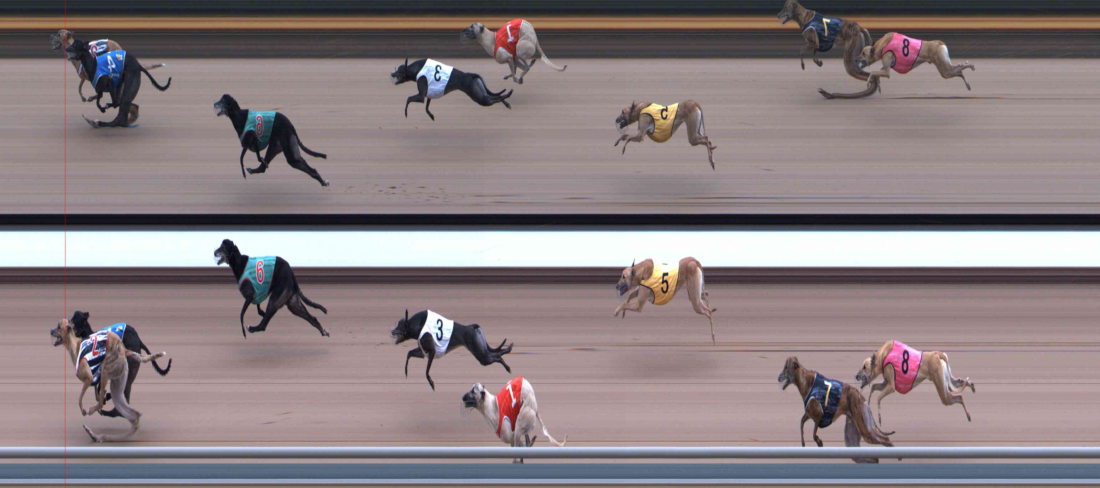 Photo finish for Healesville Race 12