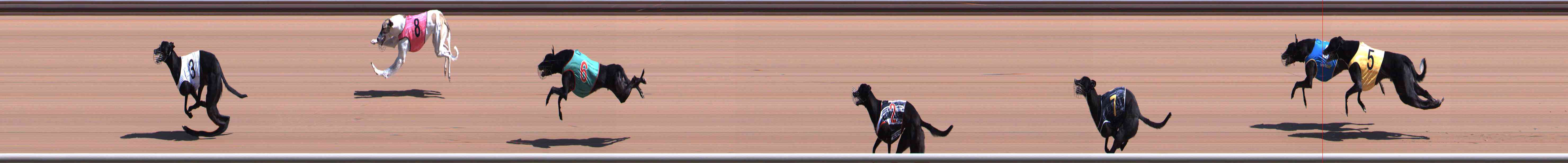 Photo finish for Healesville Race 2