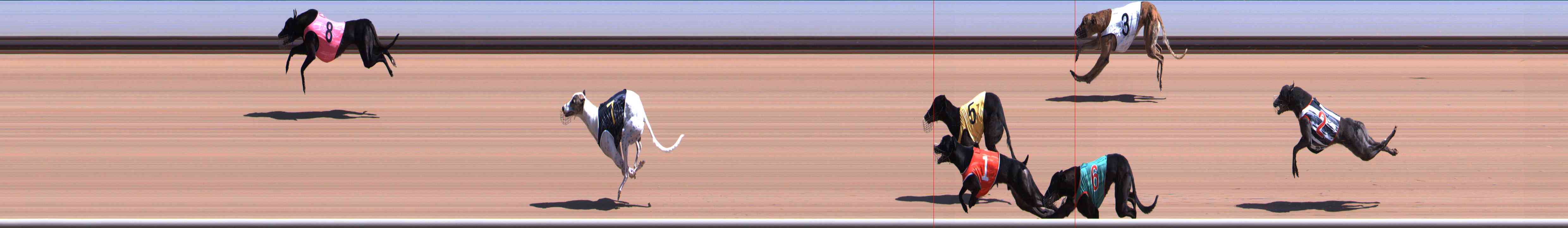 Photo finish for Healesville Race 3