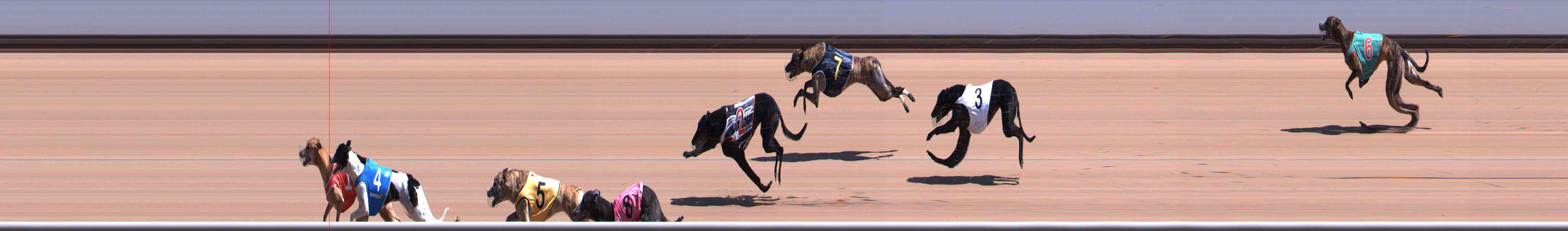 Photo finish for Healesville Race 4