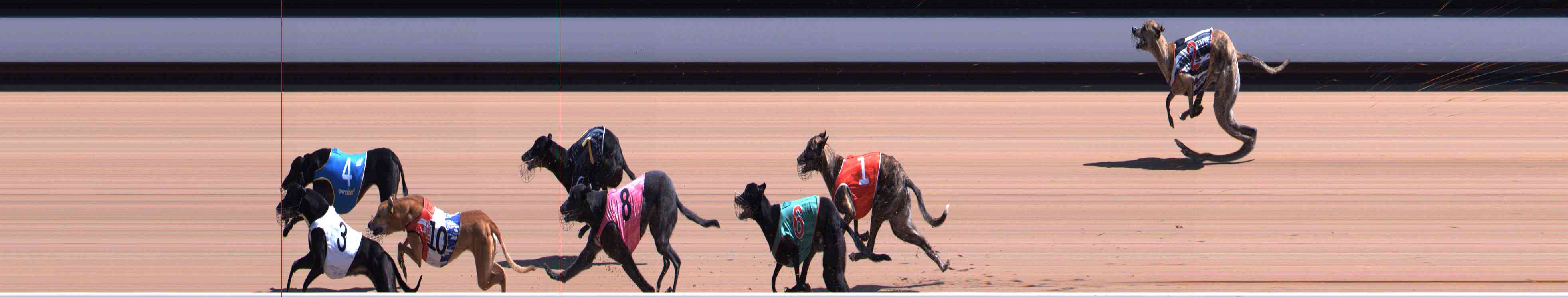 Photo finish for Healesville Race 5