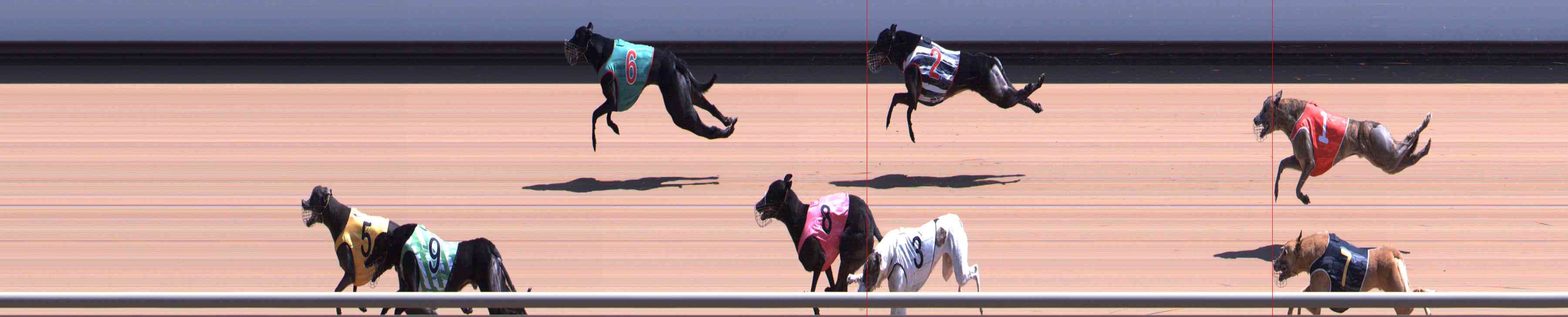 Photo finish for Healesville Race 6