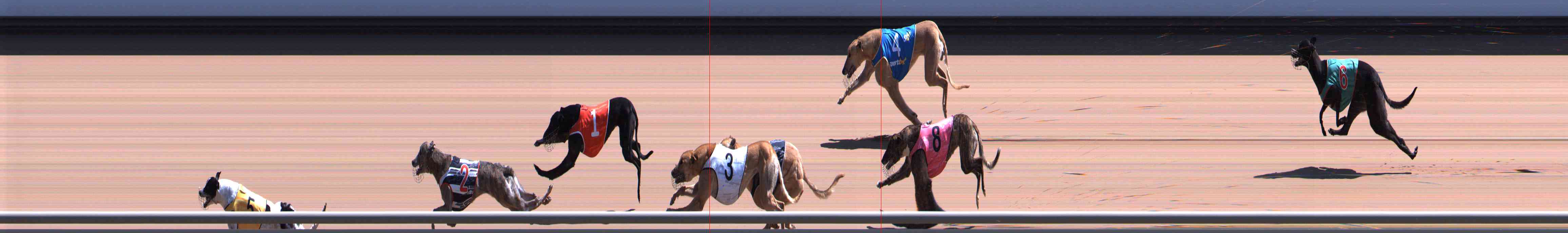 Photo finish for Healesville Race 7