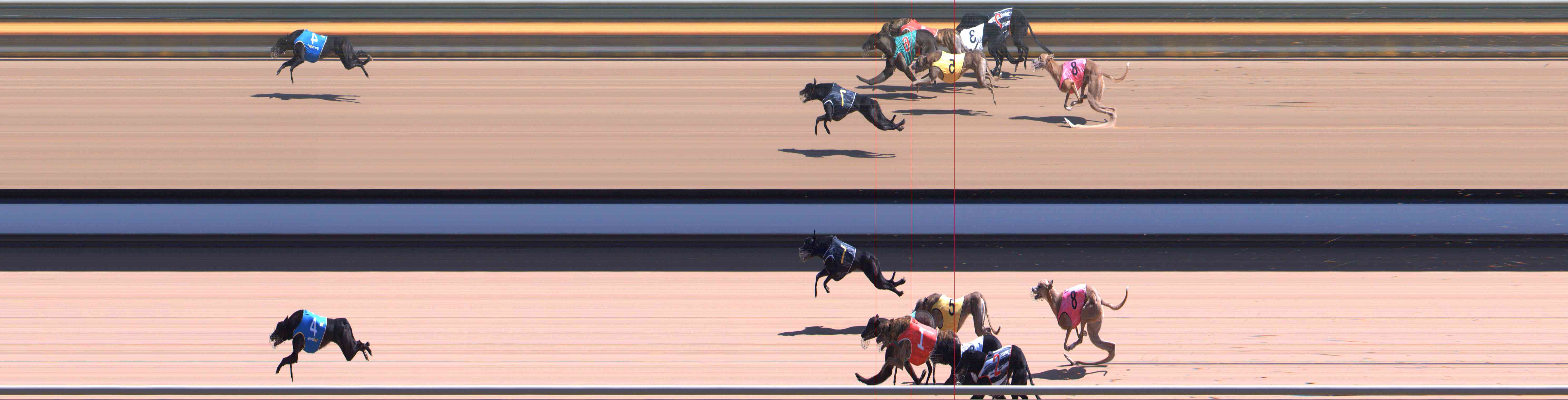 Photo finish for Healesville Race 8