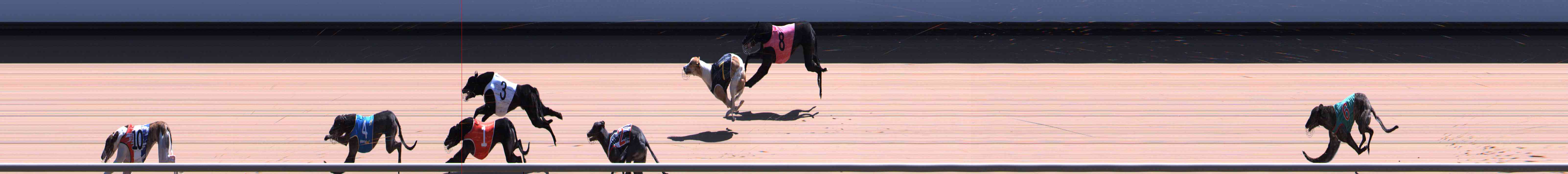 Photo finish for Healesville Race 9