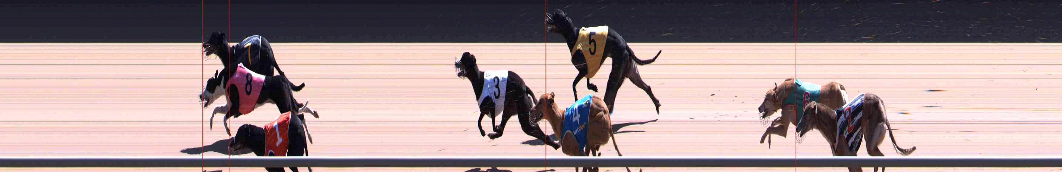 Photo finish for Healesville Race 10