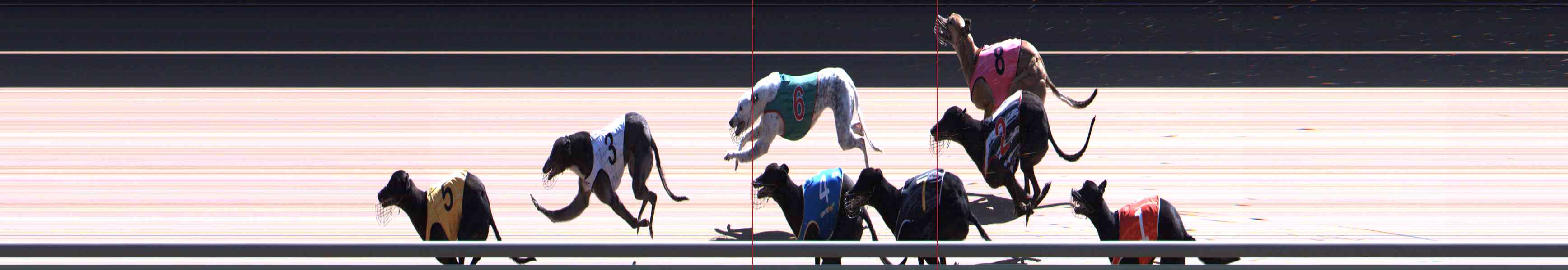 Photo finish for Healesville Race 11