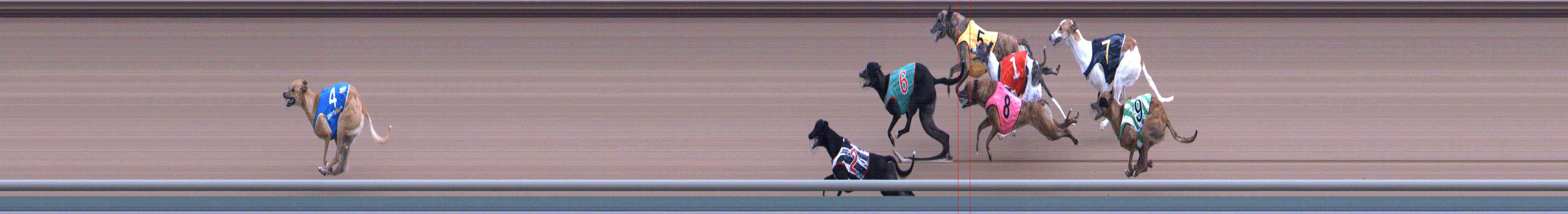 Photo finish for Healesville Race 1