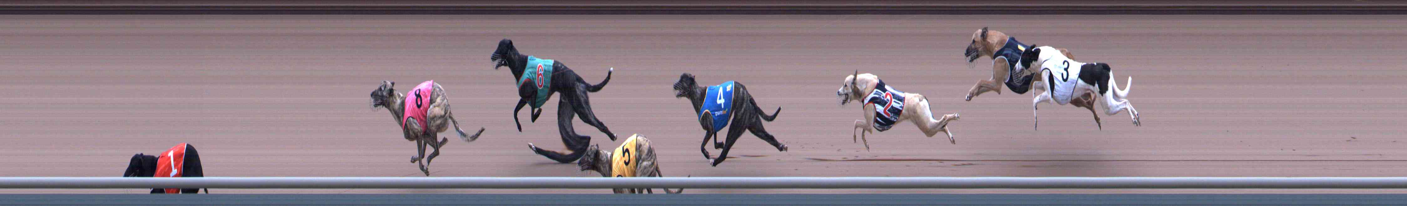Photo finish for Healesville Race 2