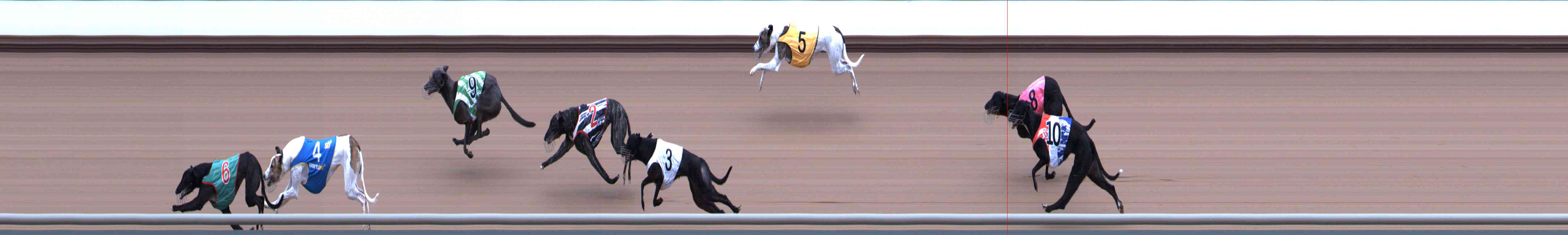 Photo finish for Healesville Race 3