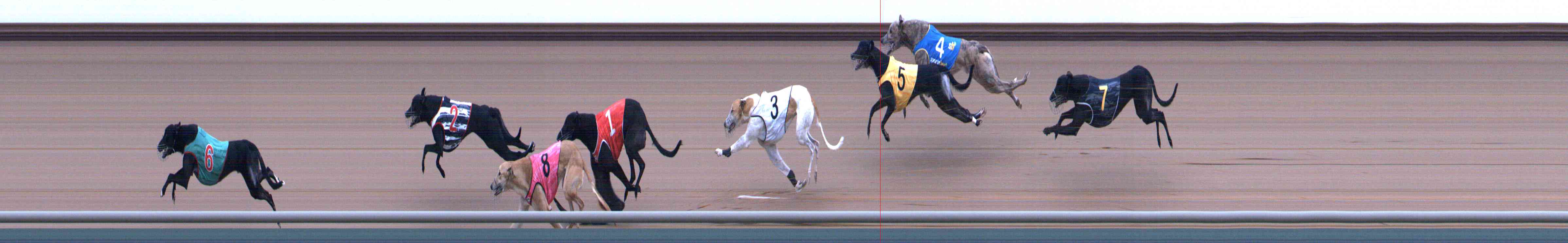 Photo finish for Healesville Race 5