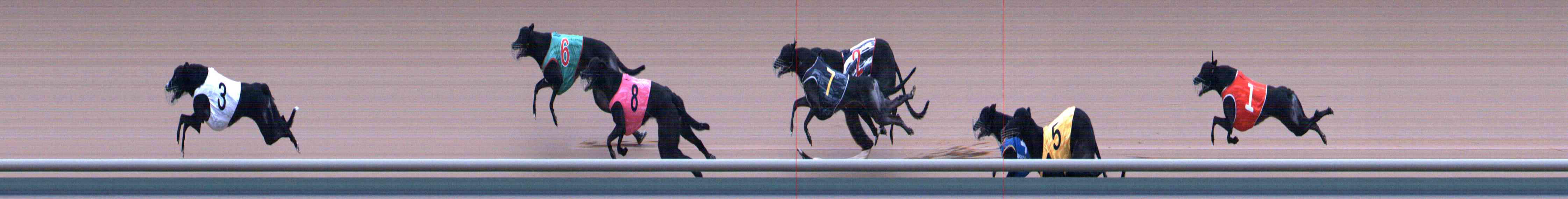 Photo finish for Healesville Race 6
