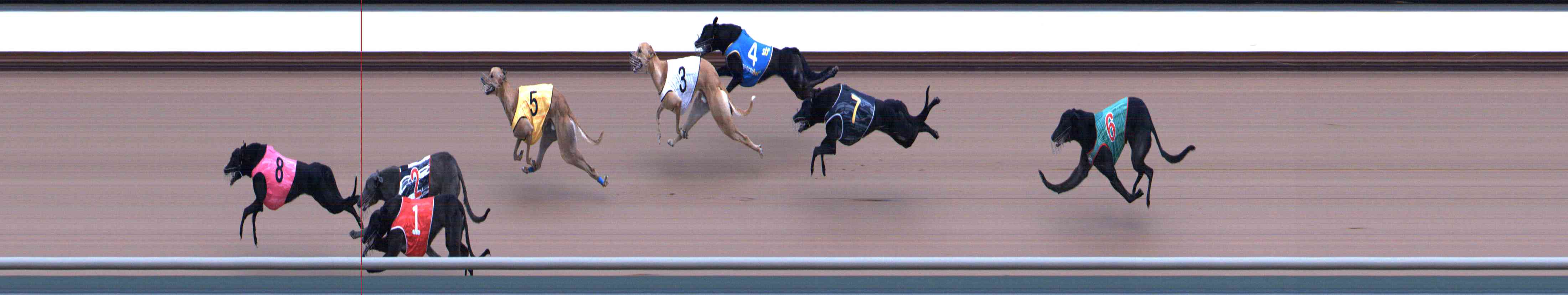 Photo finish for Healesville Race 7