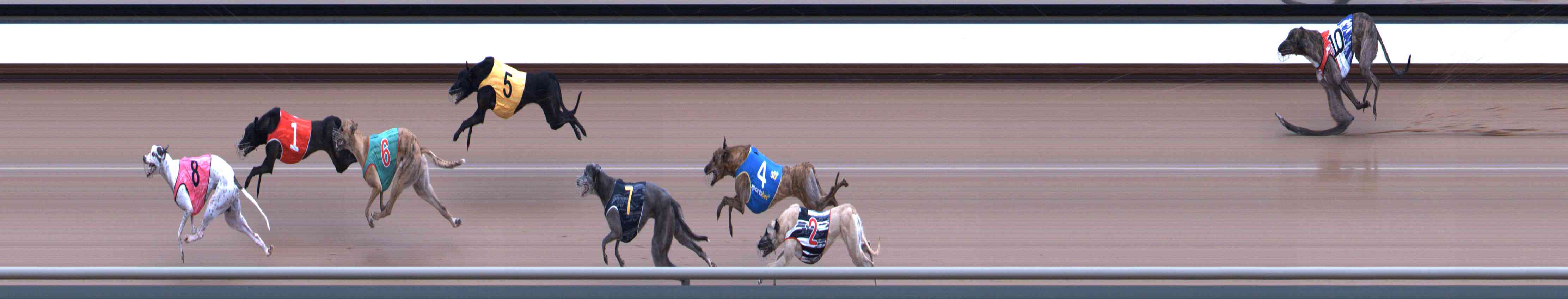 Photo finish for Healesville Race 8