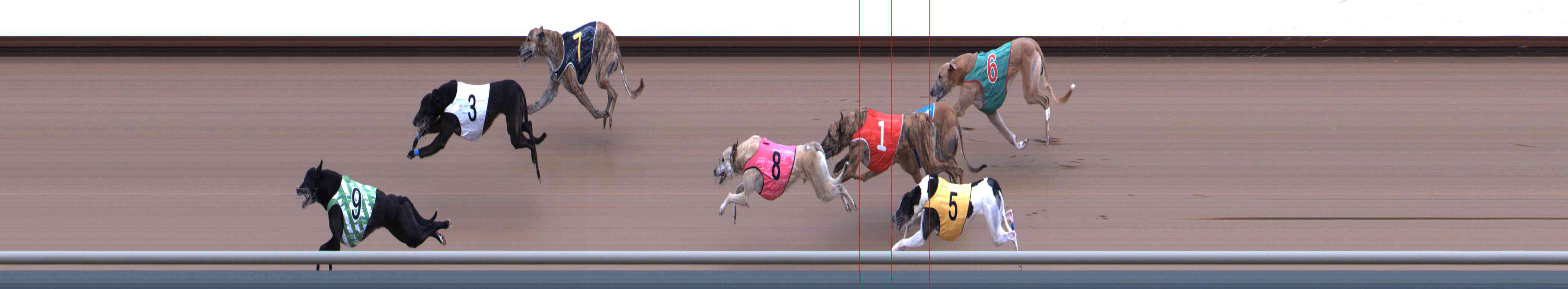 Photo finish for Healesville Race 9