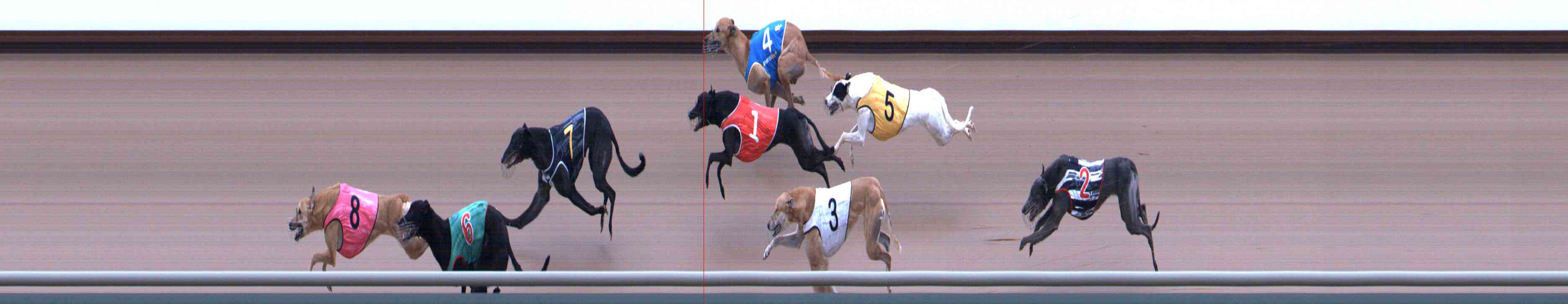 Photo finish for Healesville Race 10