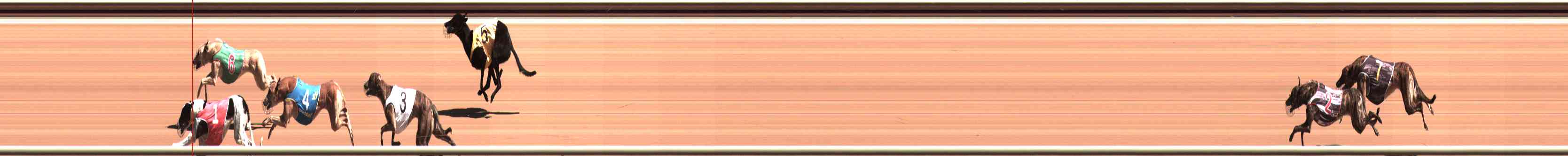 Photo finish for Healesville Race 1