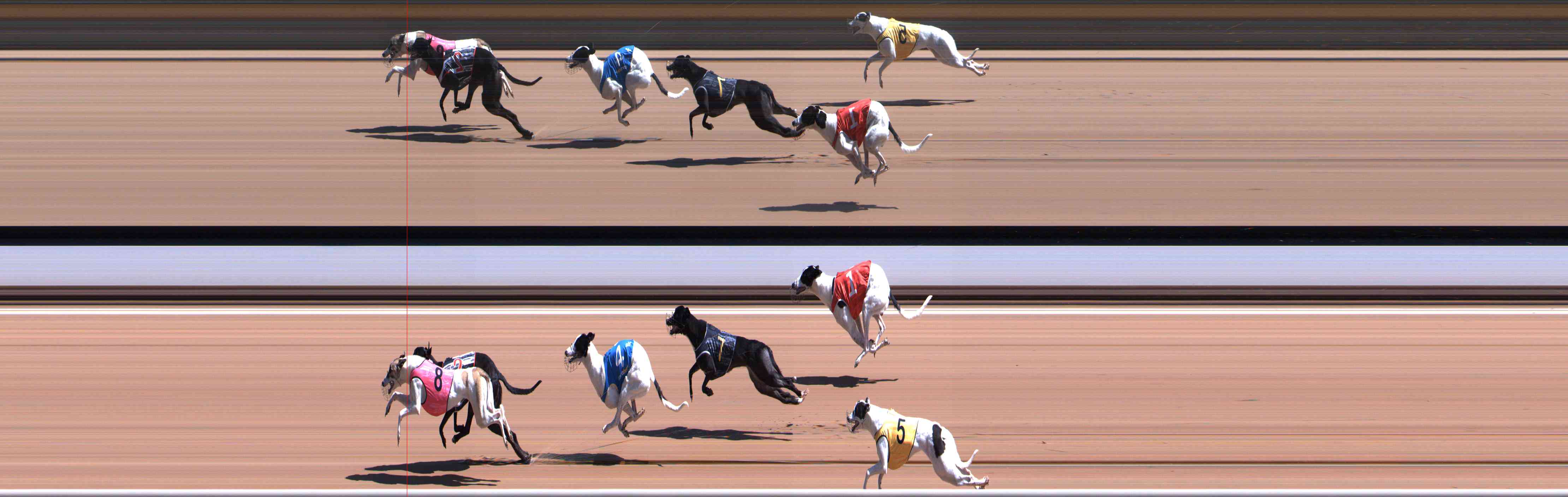 Photo finish for Healesville Race 2