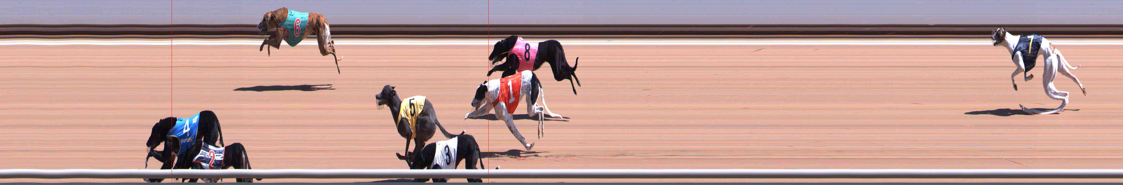 Photo finish for Healesville Race 3
