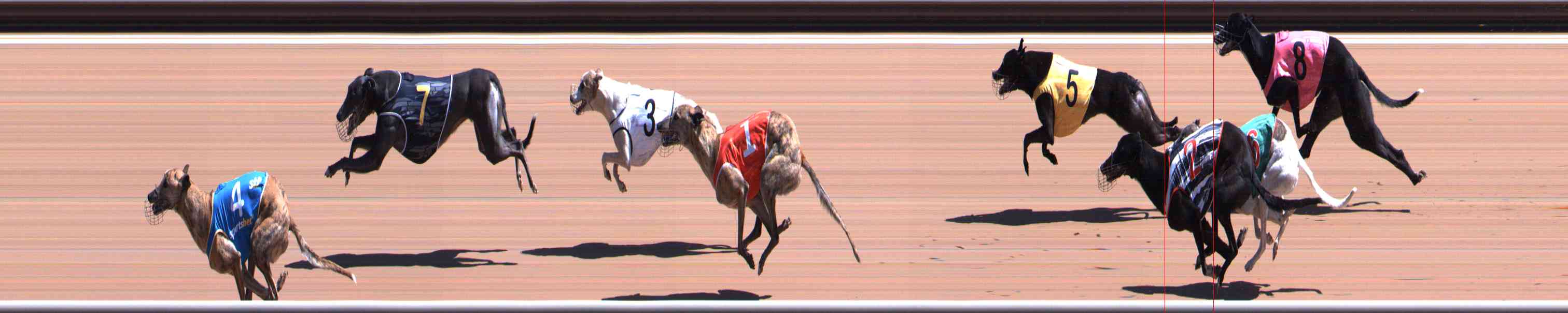 Photo finish for Healesville Race 4
