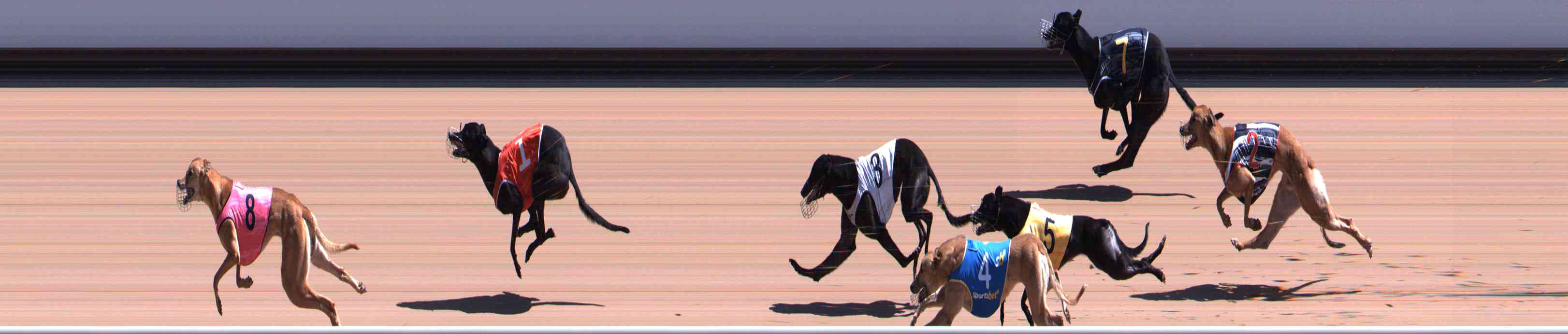 Photo finish for Healesville Race 5