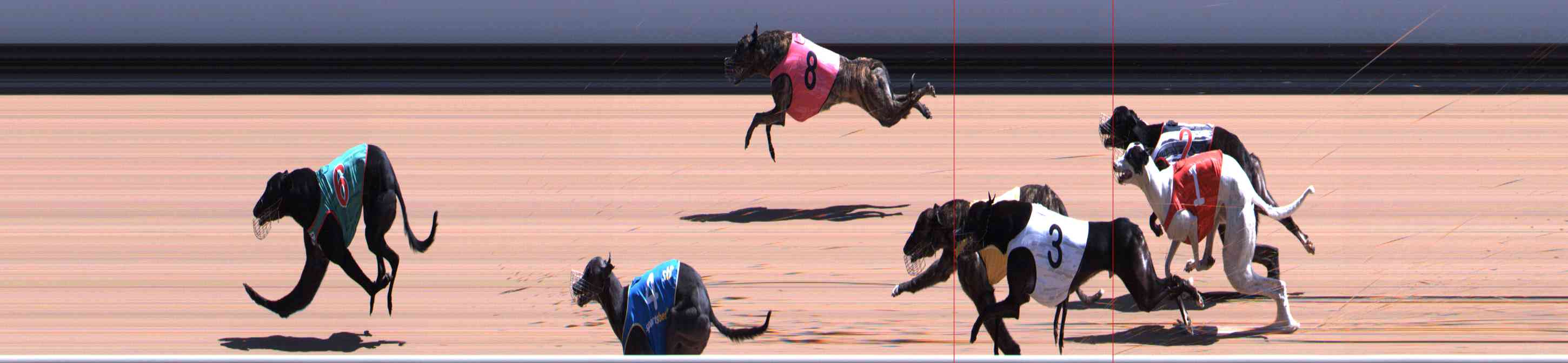 Photo finish for Healesville Race 6