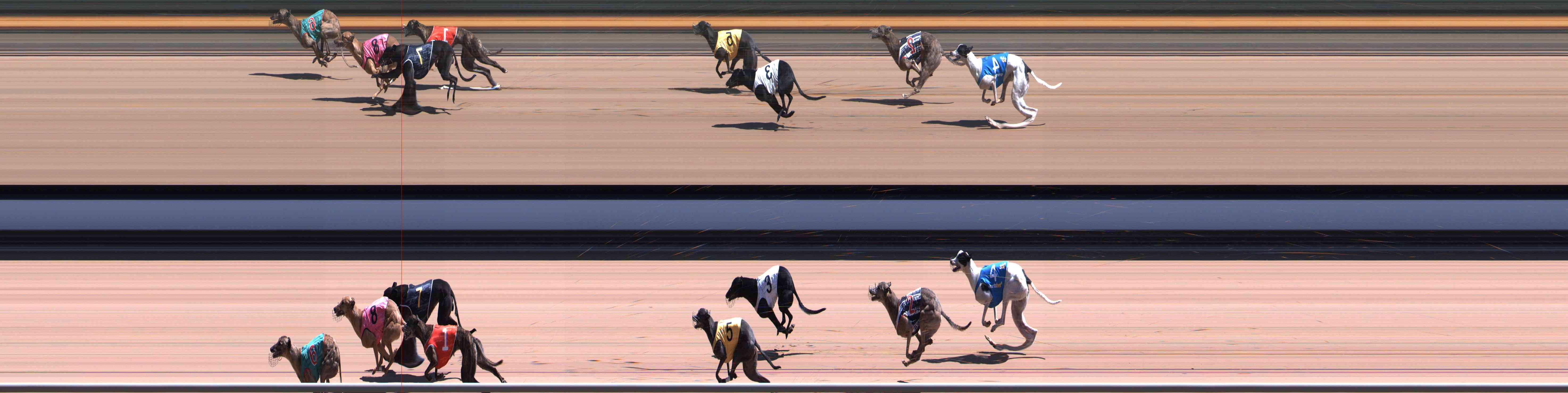 Photo finish for Healesville Race 7
