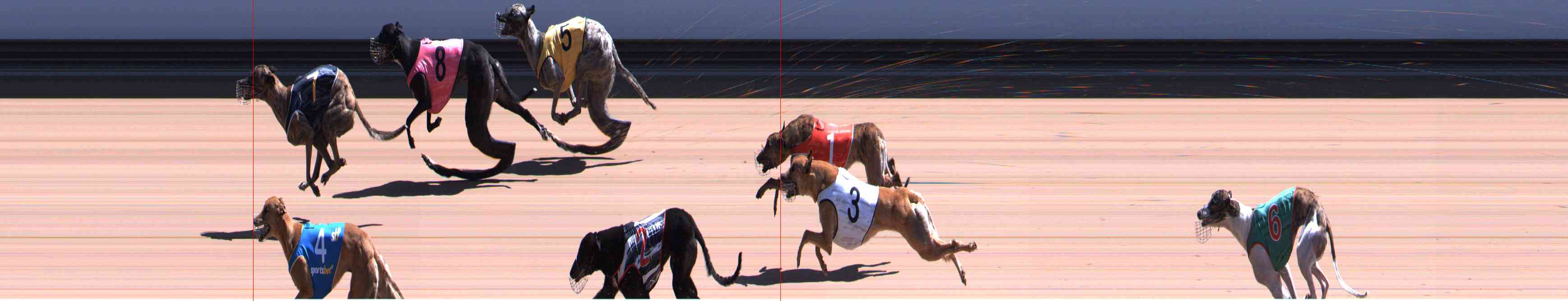 Photo finish for Healesville Race 8