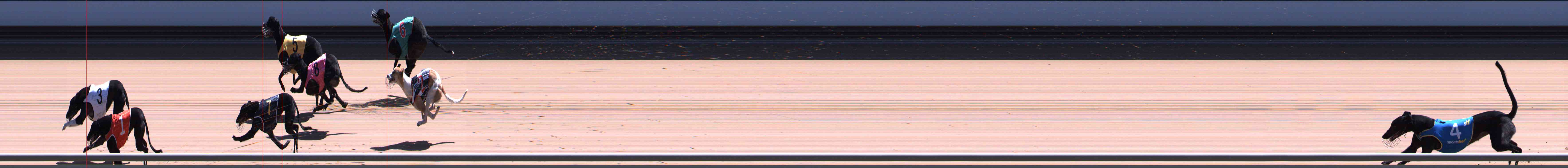 Photo finish for Healesville Race 9