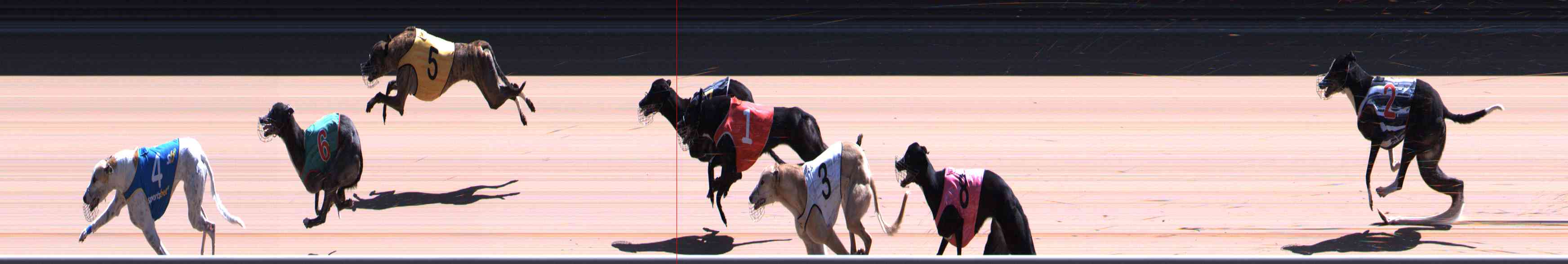 Photo finish for Healesville Race 10