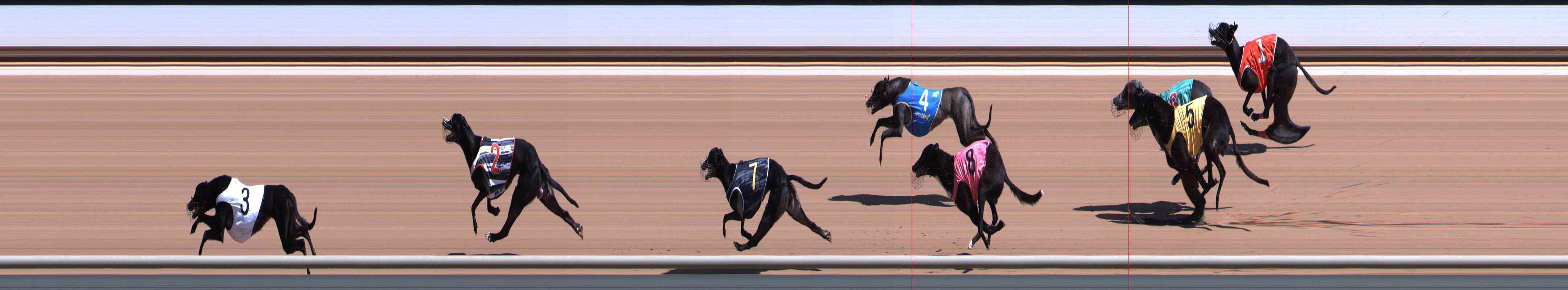 Photo finish for Healesville Race 1