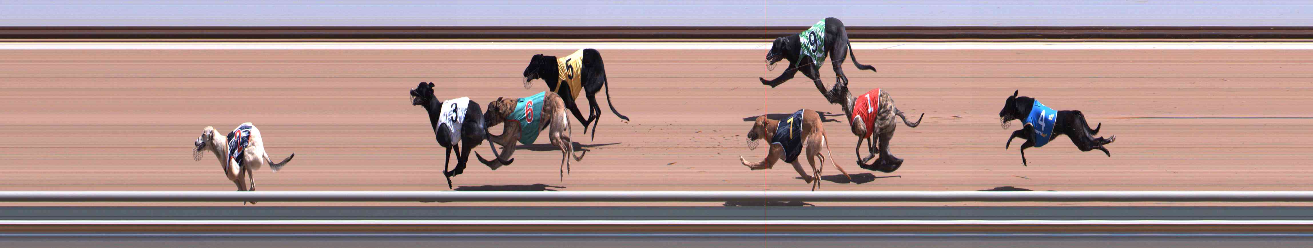Photo finish for Healesville Race 2