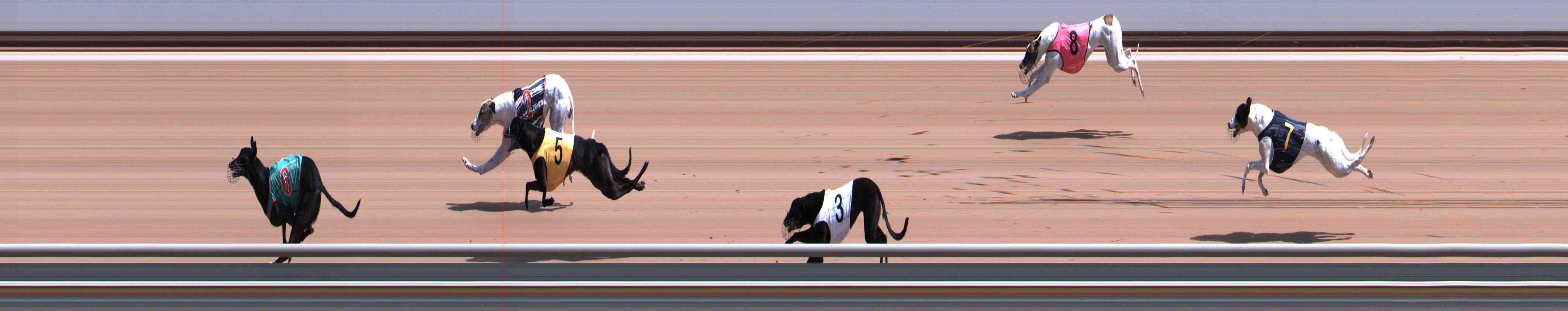 Photo finish for Healesville Race 3