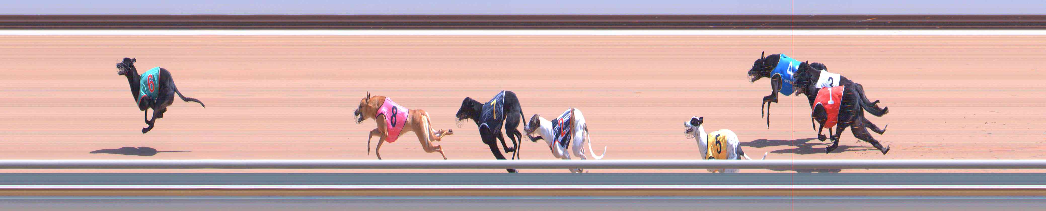 Photo finish for Healesville Race 4