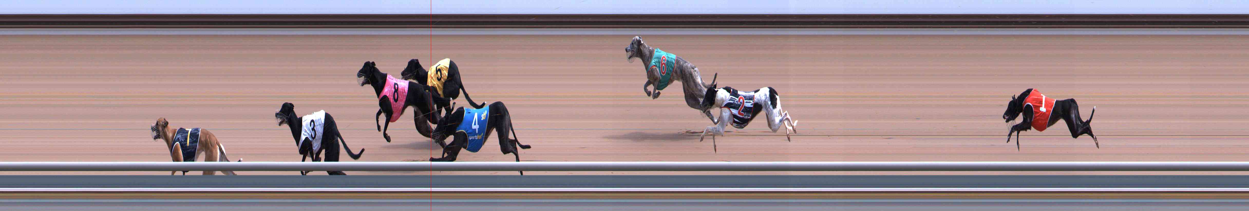 Photo finish for Healesville Race 5