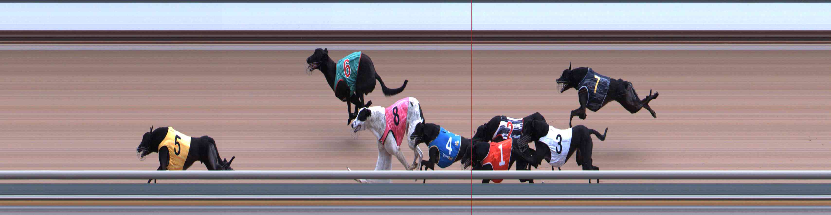 Photo finish for Healesville Race 6