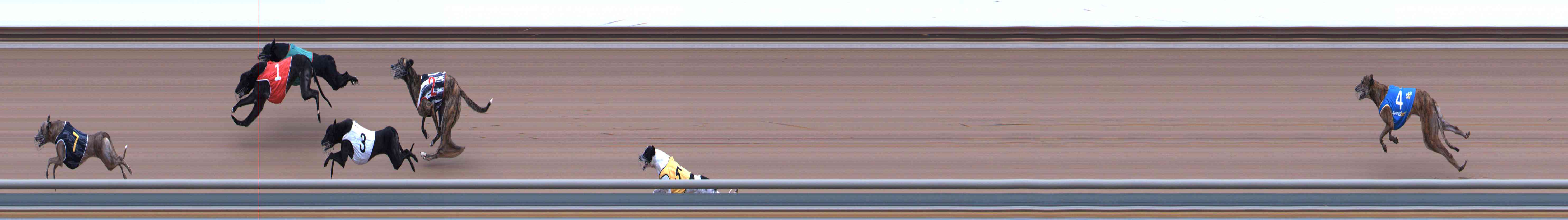 Photo finish for Healesville Race 7