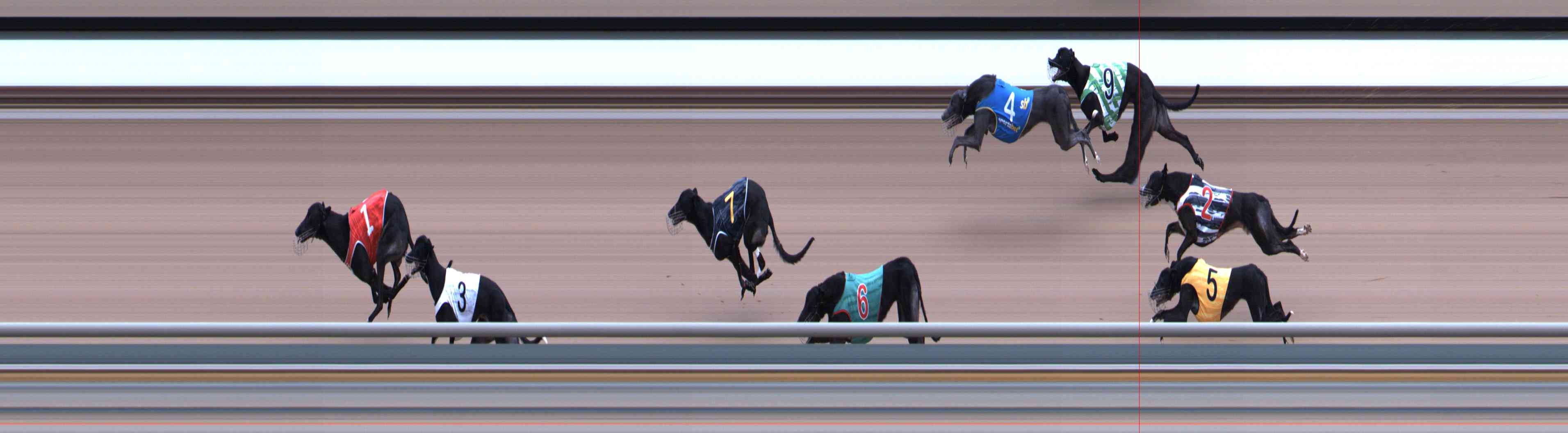 Photo finish for Healesville Race 8