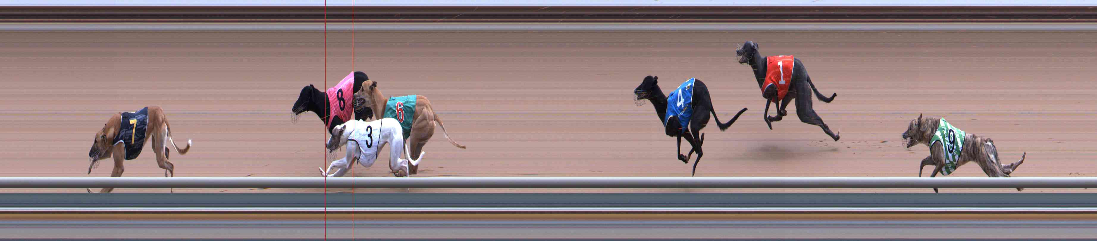 Photo finish for Healesville Race 9
