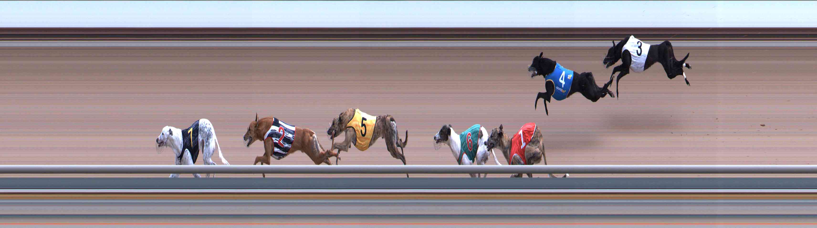 Photo finish for Healesville Race 10