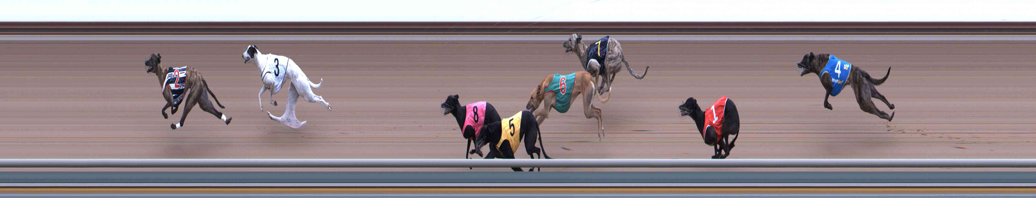 Photo finish for Healesville Race 12