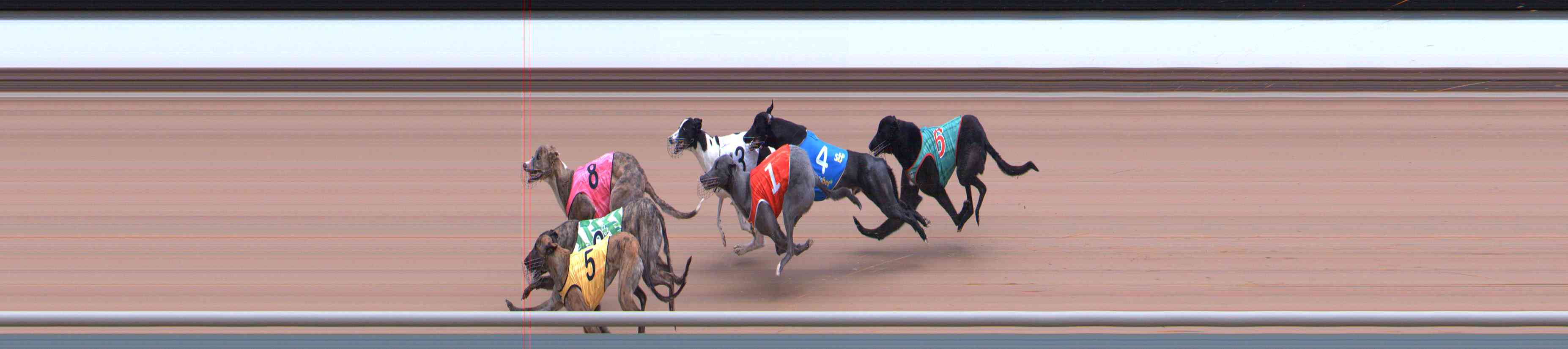 Photo finish for Healesville Race 1