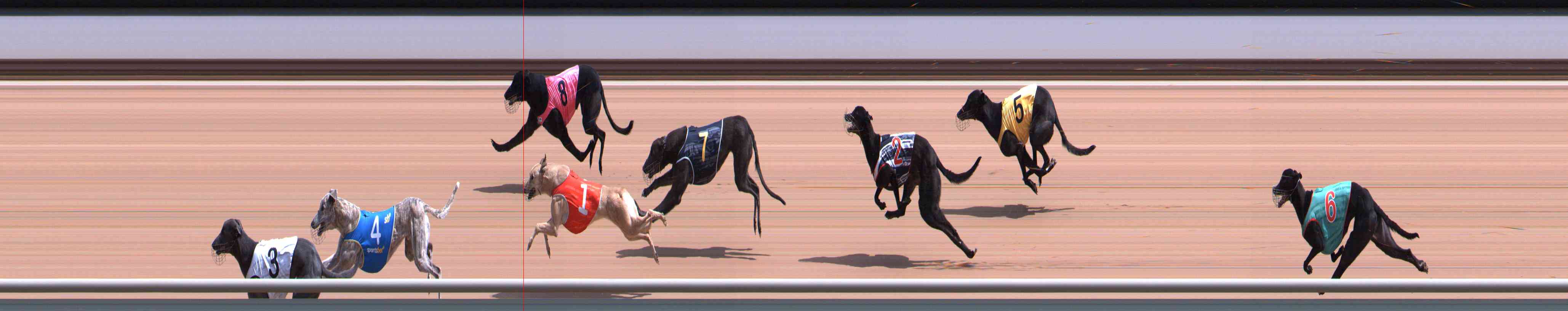 Photo finish for Healesville Race 2