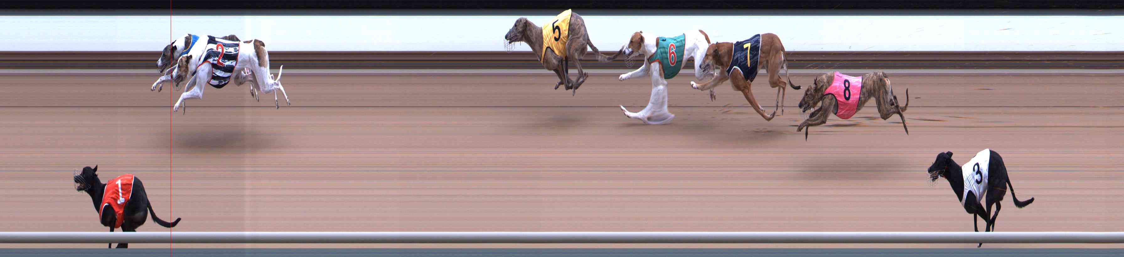 Photo finish for Healesville Race 3
