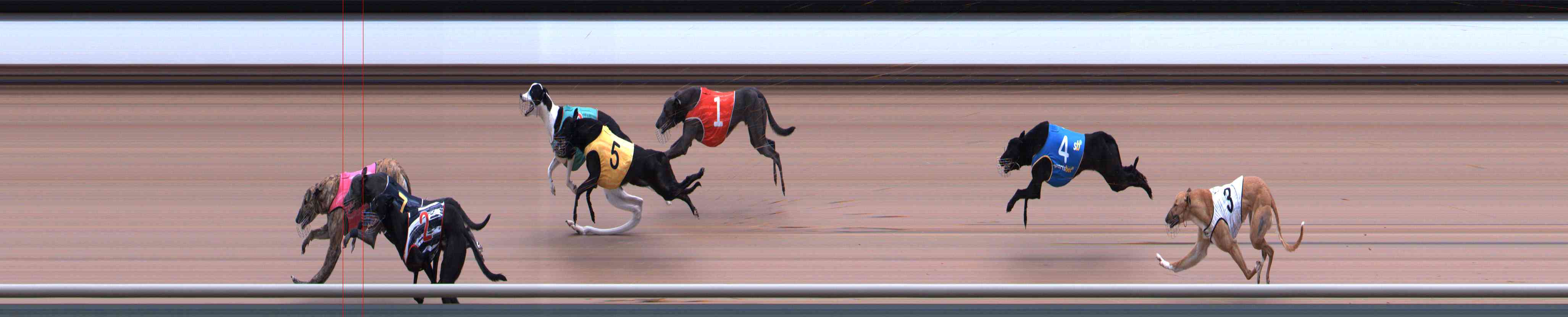 Photo finish for Healesville Race 4